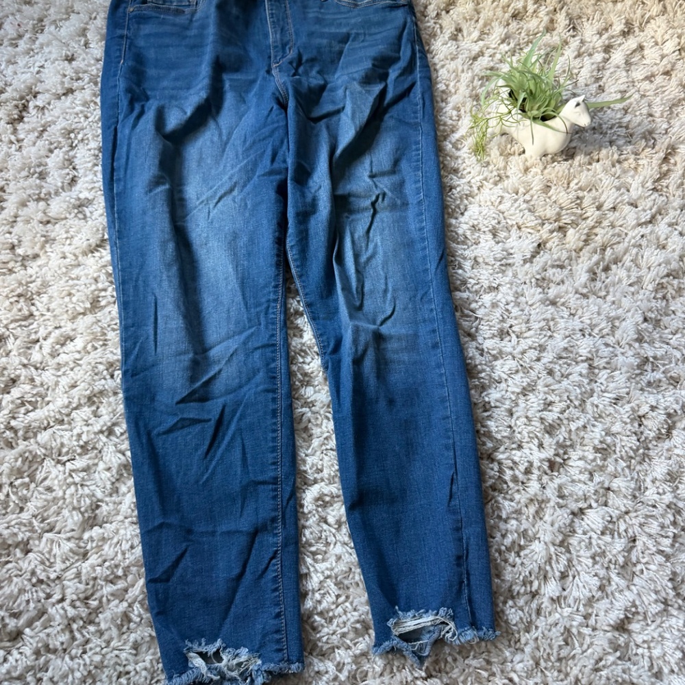 Trendy Sofia by Sofia Vergara Ripped Hem Blue plus size denim Jeans skinny jeans - Picture 2 of 7